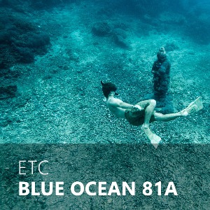BLUE OCEAN / 블루오션 81A